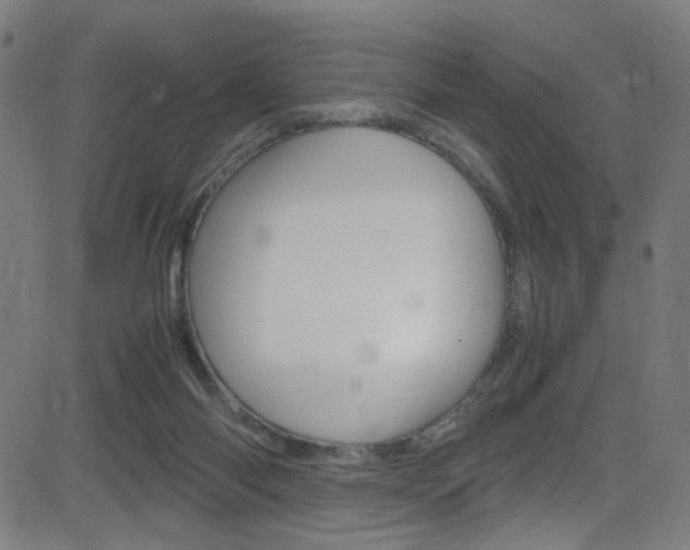 X0000083000118200702011219