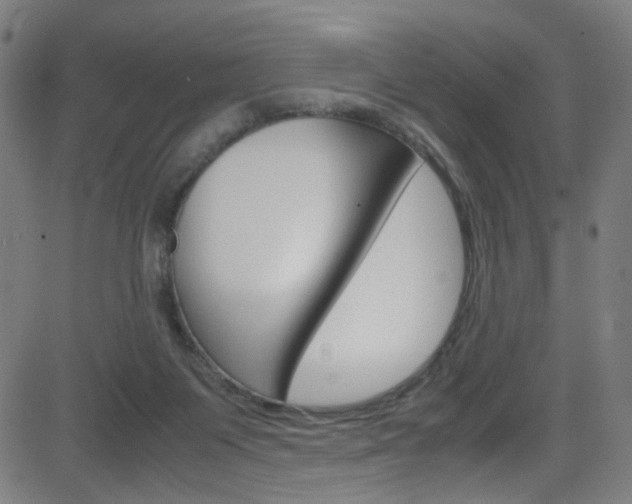 X0000083000119200702011219