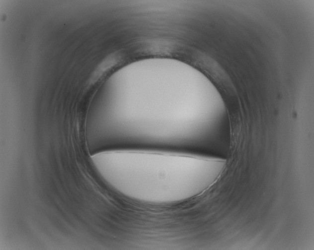 X0000083000120200702011219