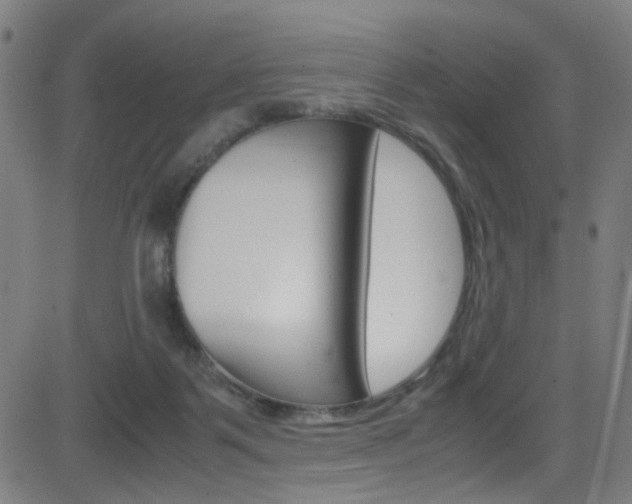 X0000083000123200702011219