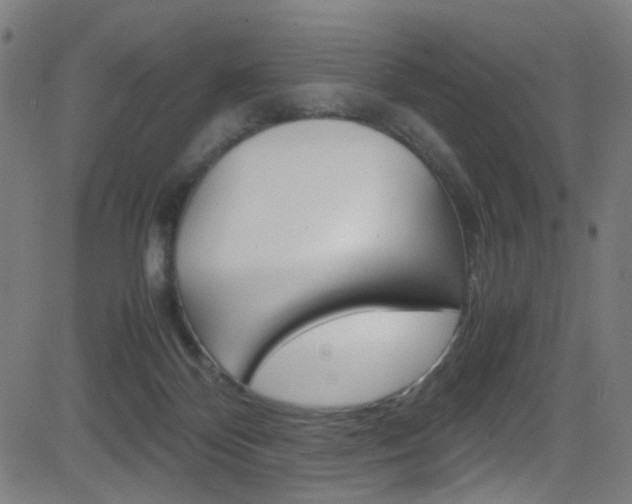 X0000083000124200702011219