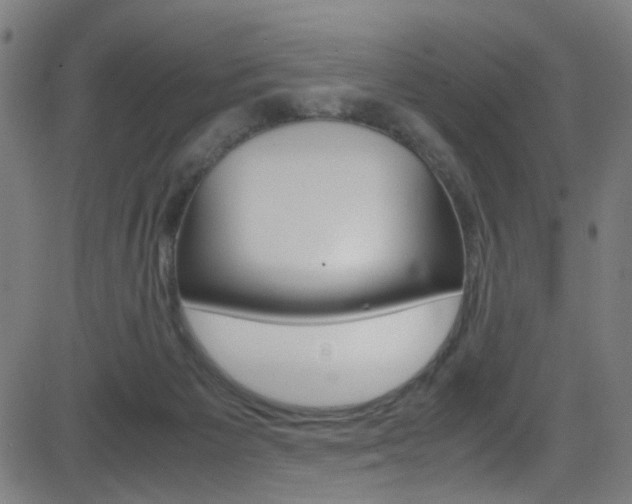 X0000083000125200702011219