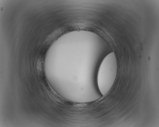 X0000083000126200702011219