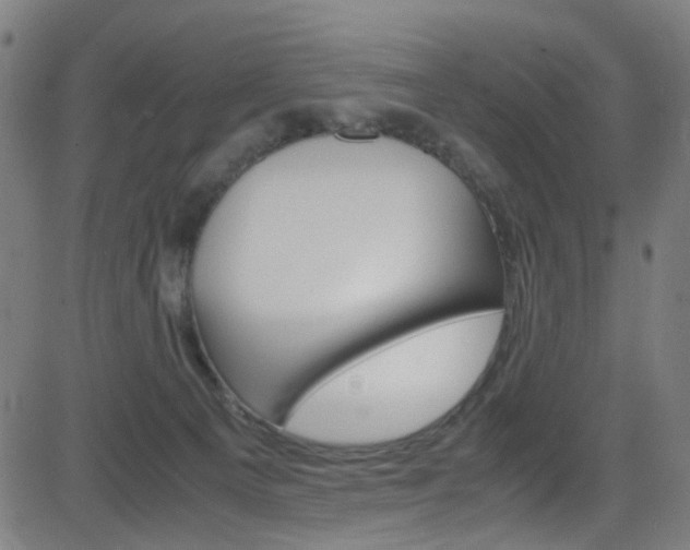 X0000083000129200702011219
