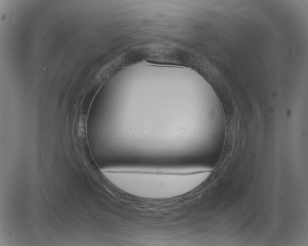 X0000083000137200702011219