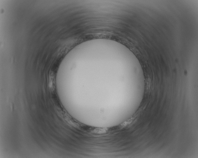 X0000083000138200702011219