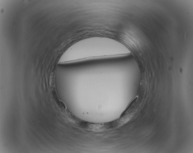 X0000083000139200702011219