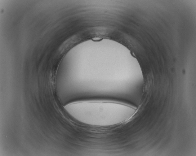 X0000083000140200702011219
