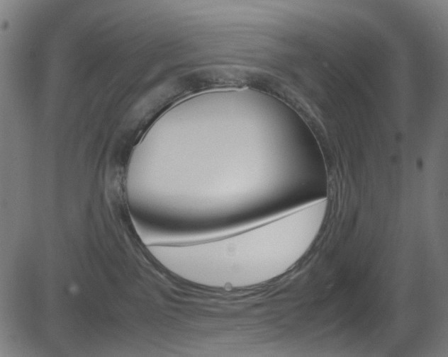 X0000083000141200702011219