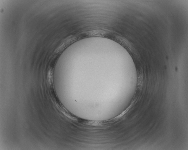 X0000083000142200702011219