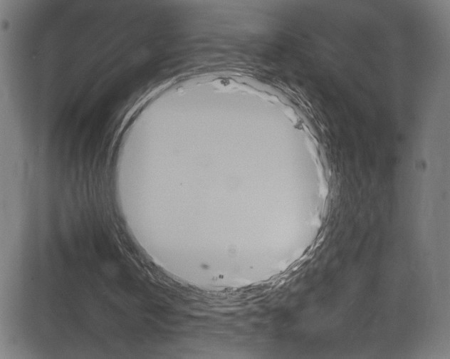 X0000083000146200702011218