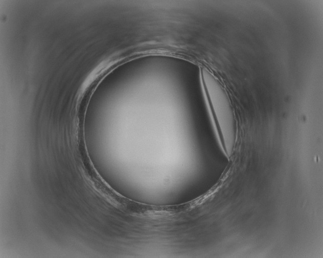 X0000083000150200702011218