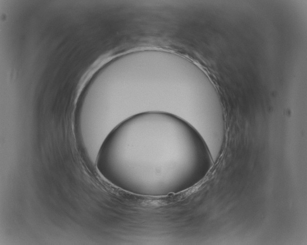 X0000083000152200702011218