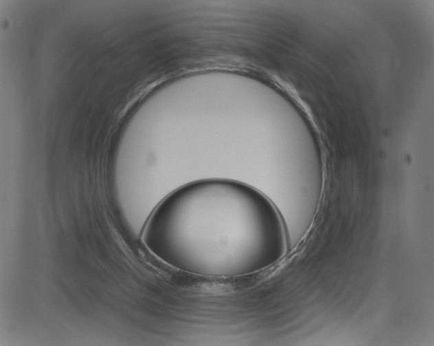 X0000083000154200702011218