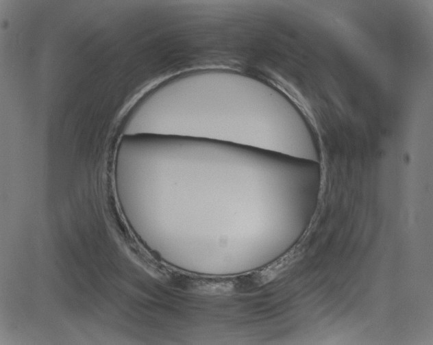 X0000083000155200702011218
