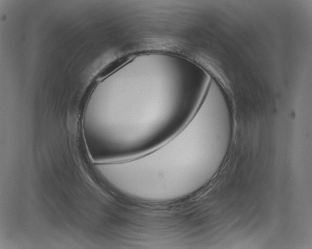 X0000083000156200702011218