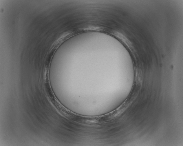 X0000083000157200702011218