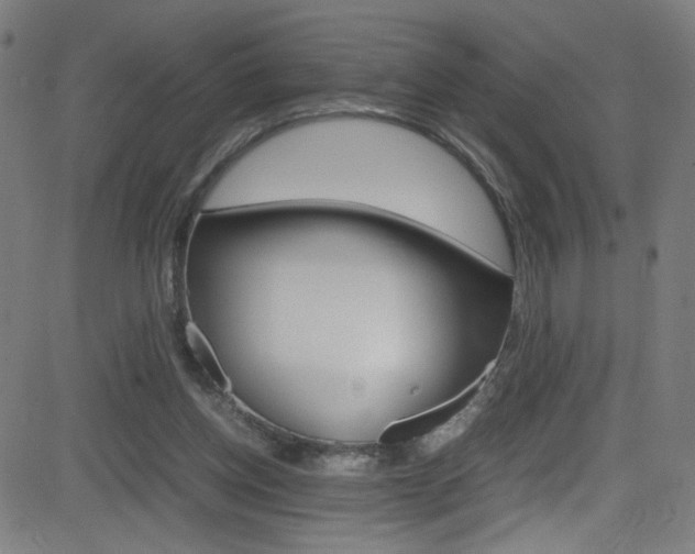 X0000083000158200702011218