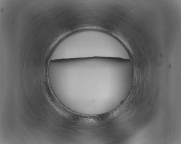 X0000083000159200702011218