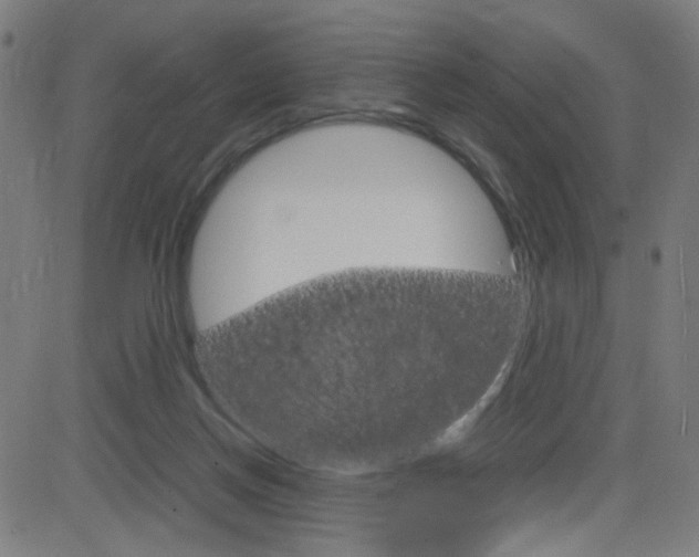 X0000083000166200702011218
