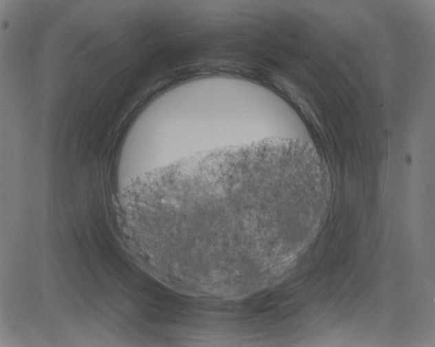X0000083000167200702011218