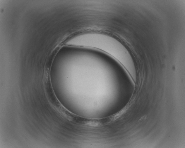 X0000083000168200702011218