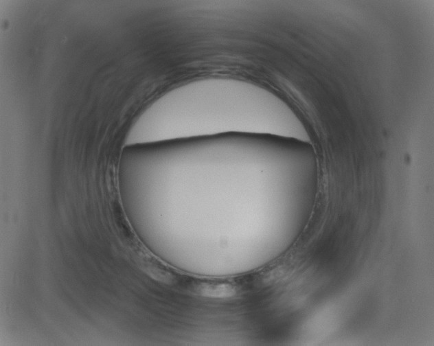 X0000083000169200702011218