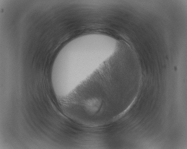 X0000083000171200702011218