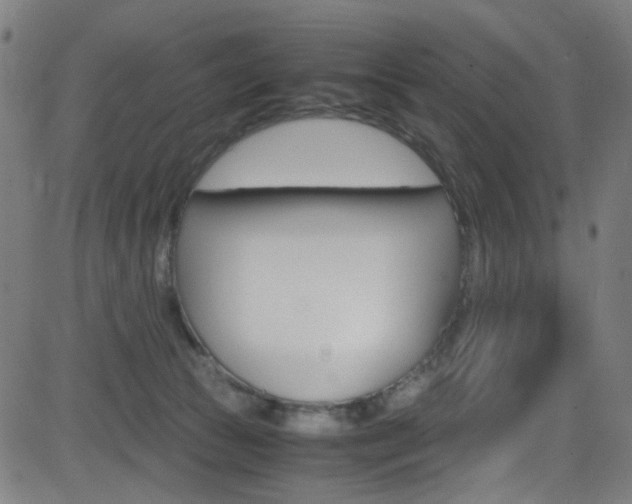 X0000083000177200702011218