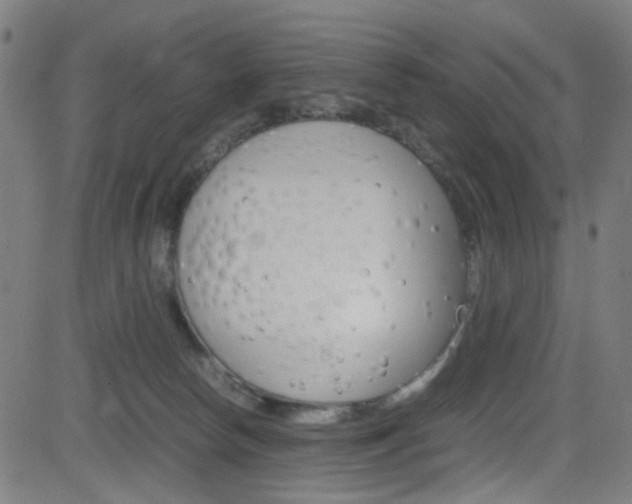 X0000083000178200702011218