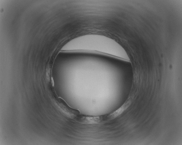 X0000083000188200702011218