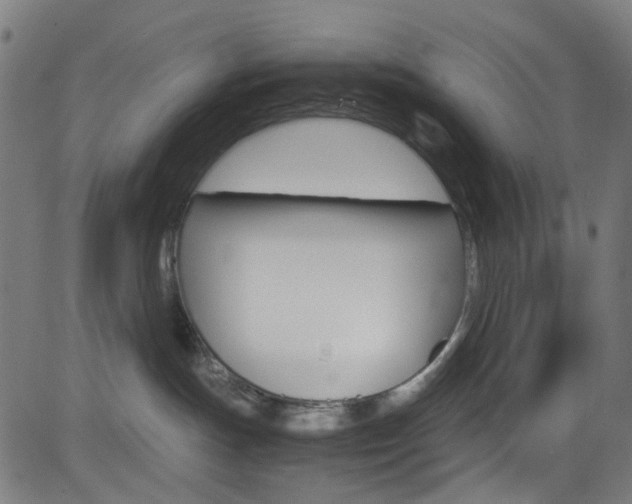X0000083000191200702011218