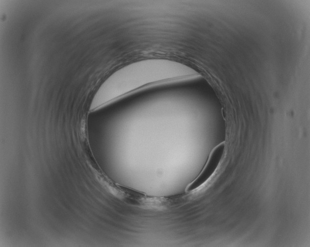 X0000083000192200702011219