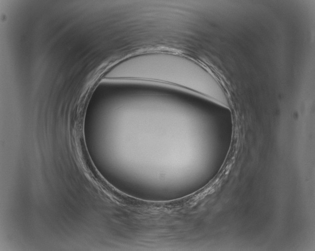 X0000083000193200702011218