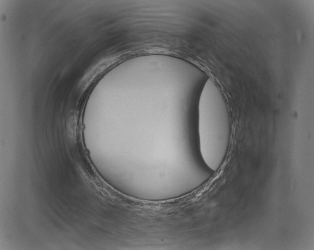 X0000083000194200702011218