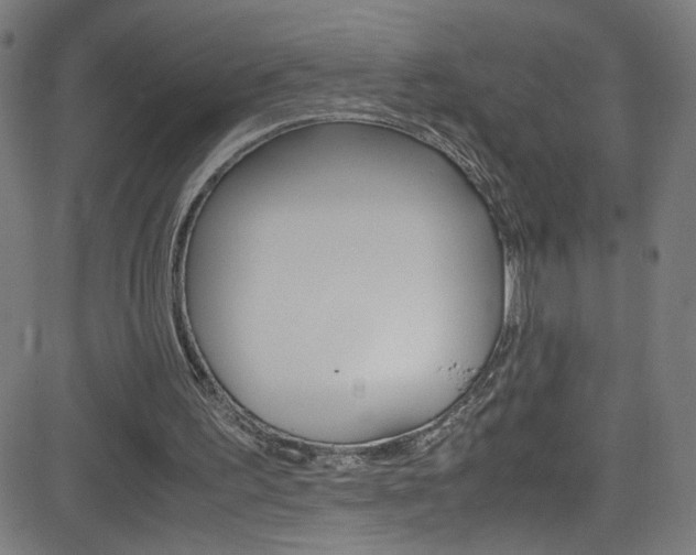 X0000083000195200702011218