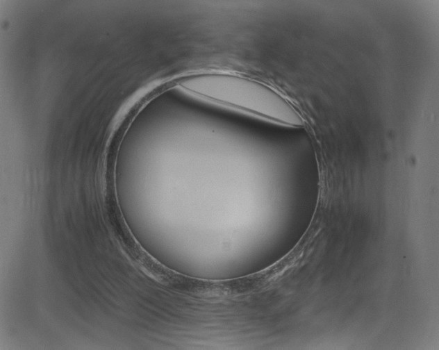 X0000083000200200702011218
