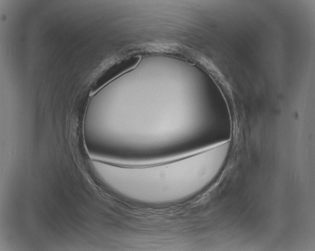 X0000083000201200702011218