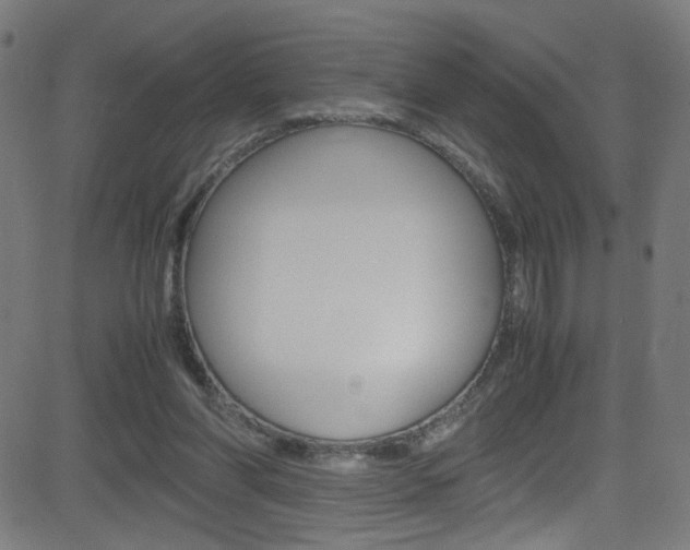 X0000083000206200702011218