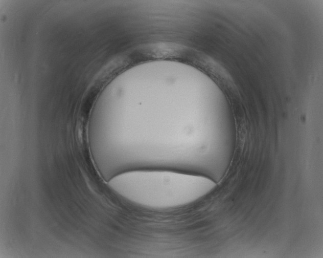 X0000083000214200702011217