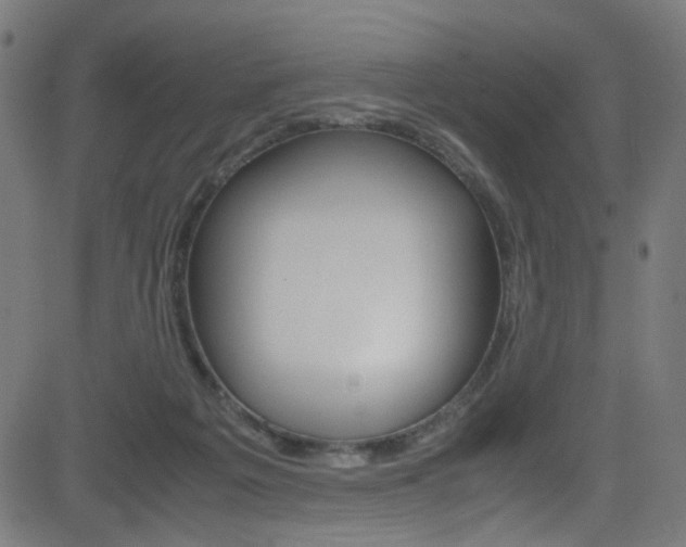 X0000083000217200702011217