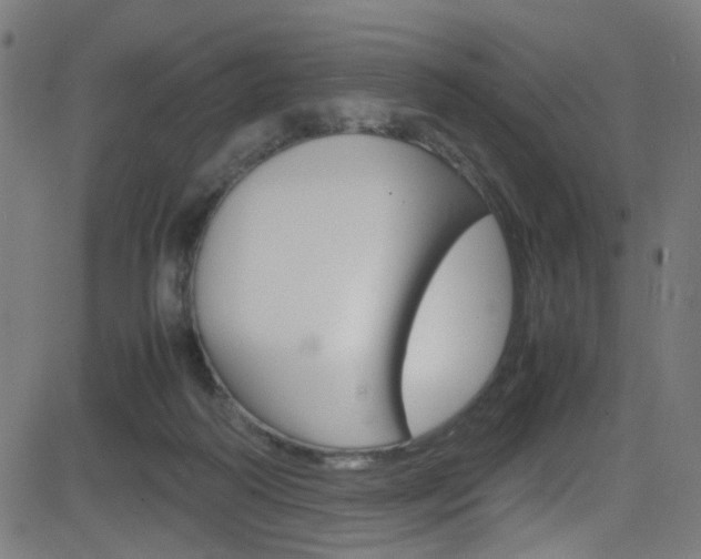 X0000083000218200702011217