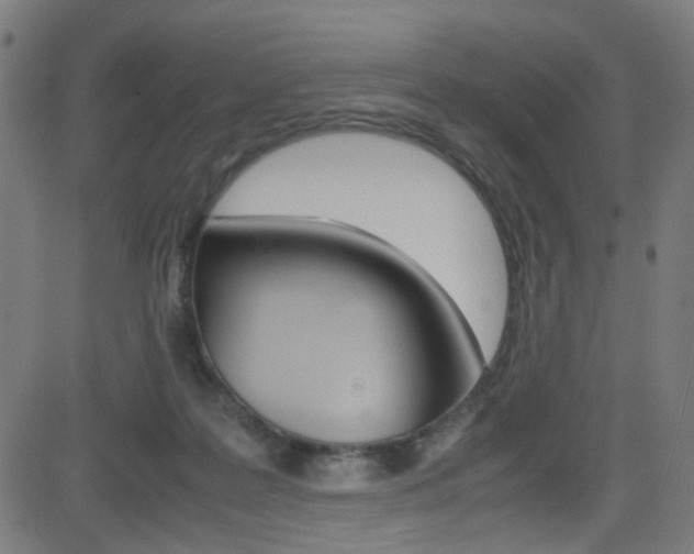 X0000083000219200702011217
