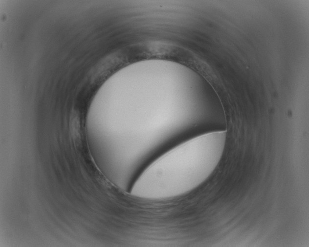 X0000083000220200702011217