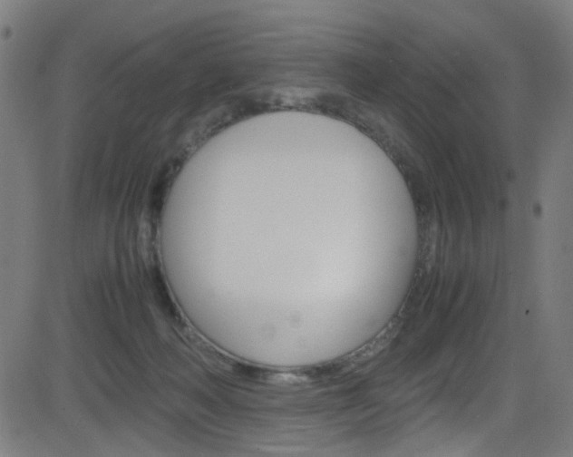 X0000083000222200702011217