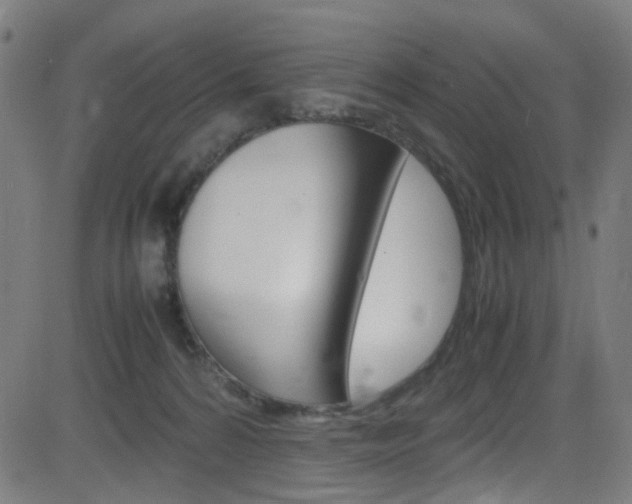 X0000083000224200702011217