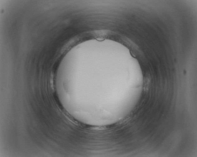 X0000083000238200702011217