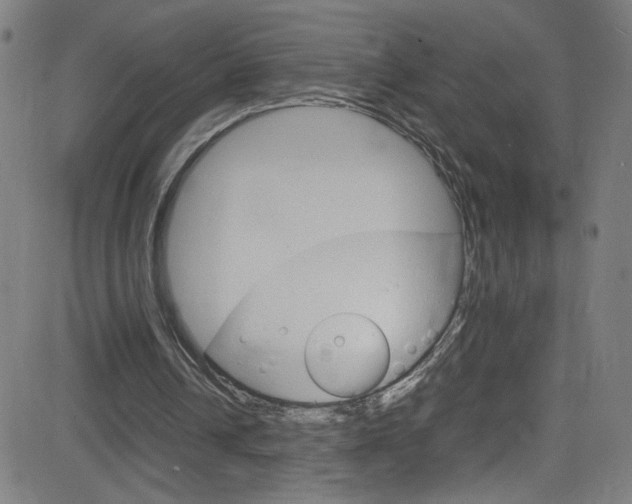 X0000083000242200702011216
