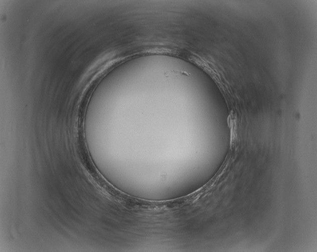 X0000083000243200702011216