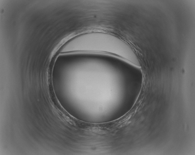 X0000083000244200702011216